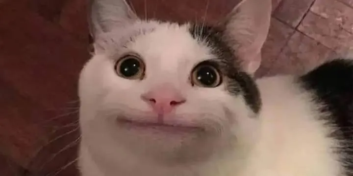 صورة مرفقة بالتعليق