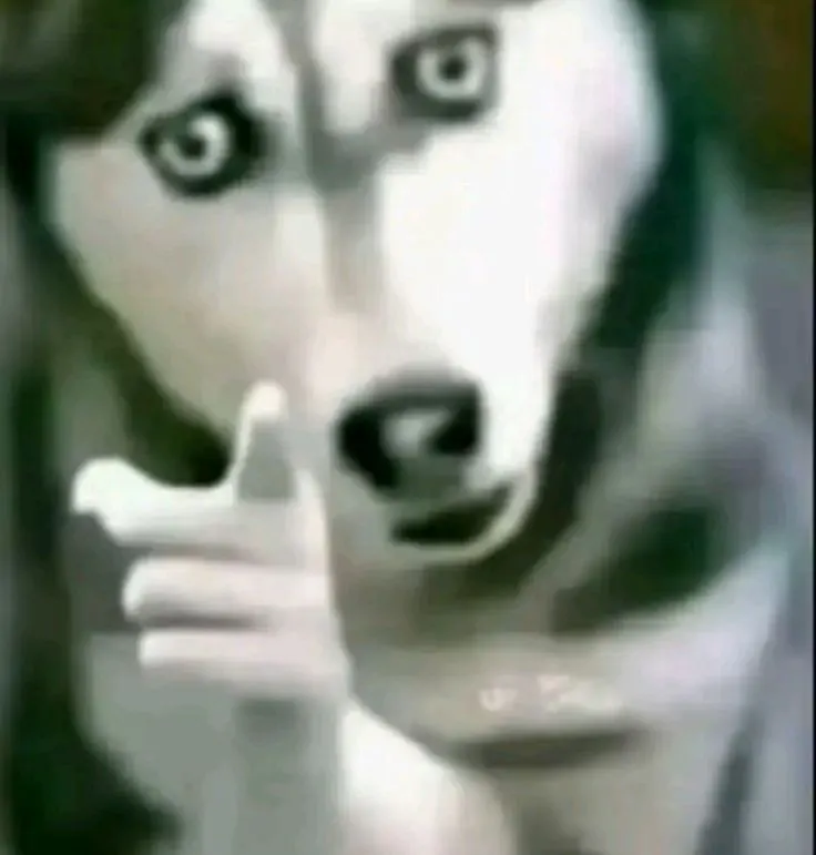 صورة مرفقة بالتعليق