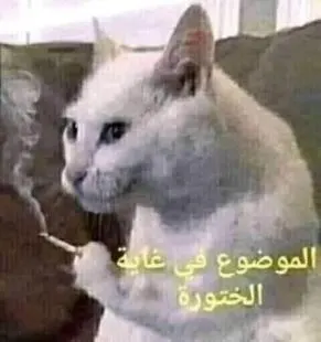 صورة مرفقة بالتعليق