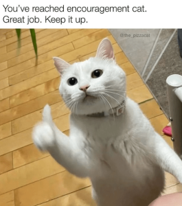 1000001355