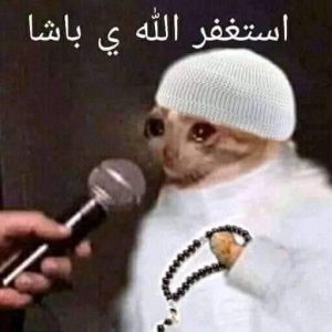 1000007384