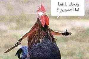 288a336fe17739d53f3cd7f1cfc4e4e6dba67bdf16241fc45fe5096c17b33fbf