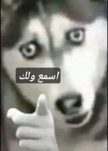 f3e7c9615be21229baeccc84131c19a3