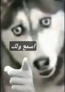 f3e7c9615be21229baeccc84131c19a3