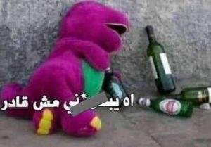 ٢٠٢٥٠٥٢٩_٠٥٥٠٤٧