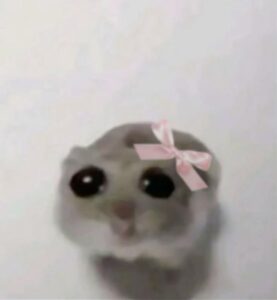 1002801487